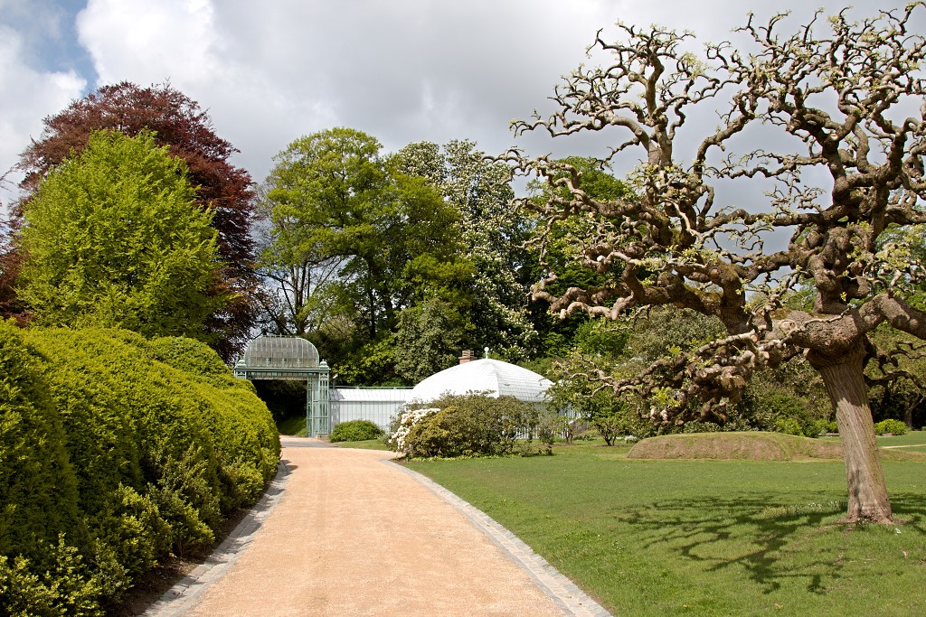 Serres royales de Laeken Koninklijke laken Koninklijk belgie serre kasteel hdr art nouveau tuin bloemen bloem architect Alphonse Balat Koning Leopold II plantencollectie